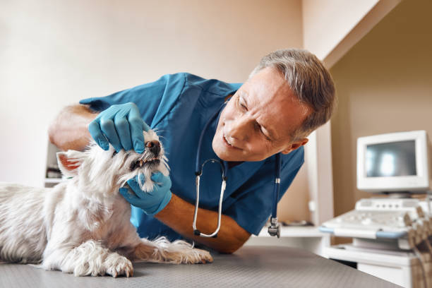 Best Emergency Root Canal Treatment in Cetronia, PA